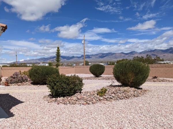 Affordable Pahrump Yard Maintenance