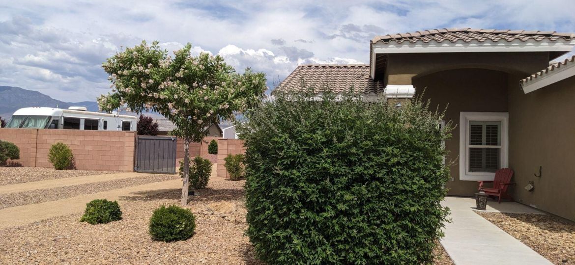 Cleaning Your Pahrump Landscape Rocks