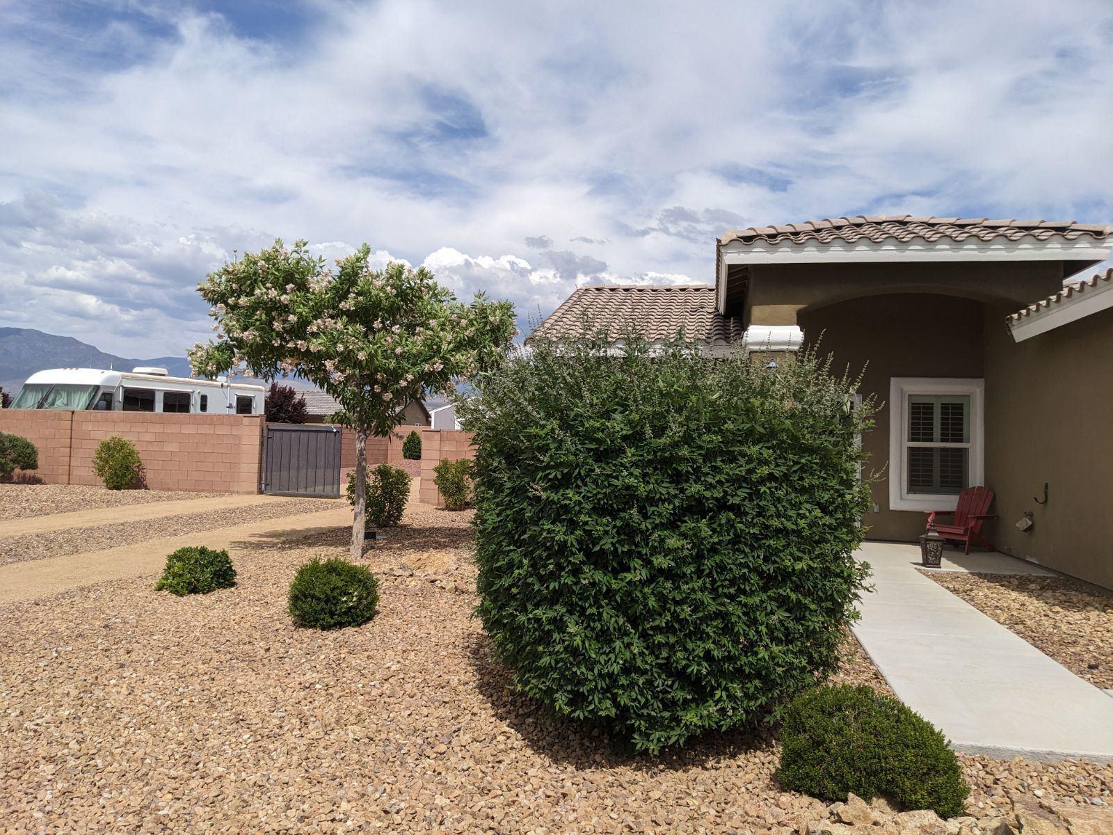 Best Way To Clean Dirty Landscape Rocks at Jeffrey Reed blog