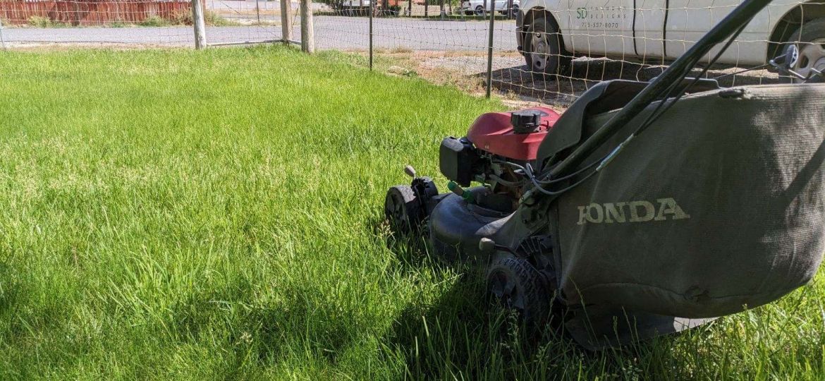 Lawn Mowing in Pahrump