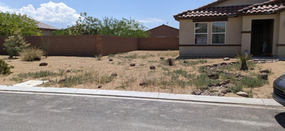 Weed Prevention in Pahrump