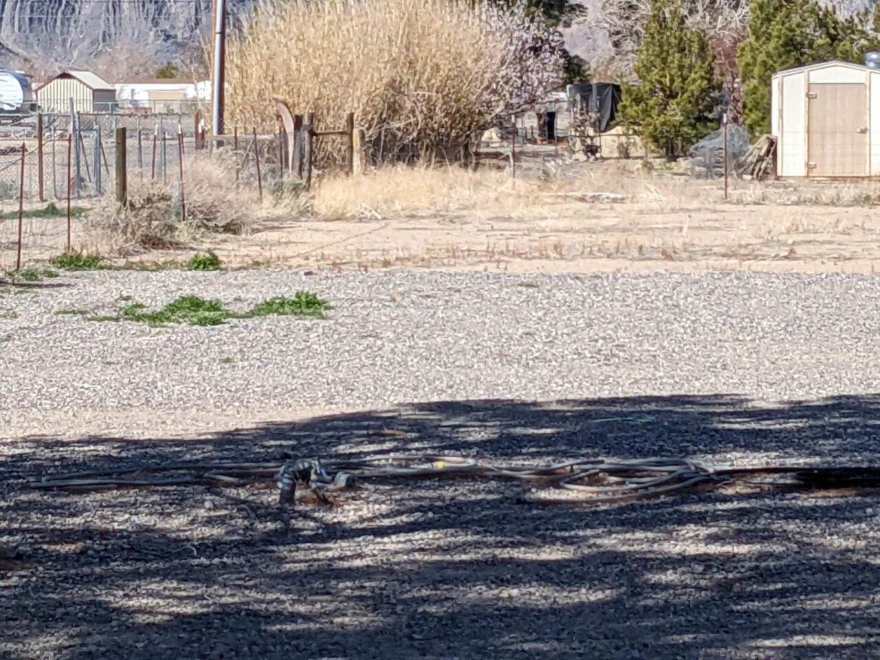 Pahrump Landscape Blowing Snowden Designs 7755378070