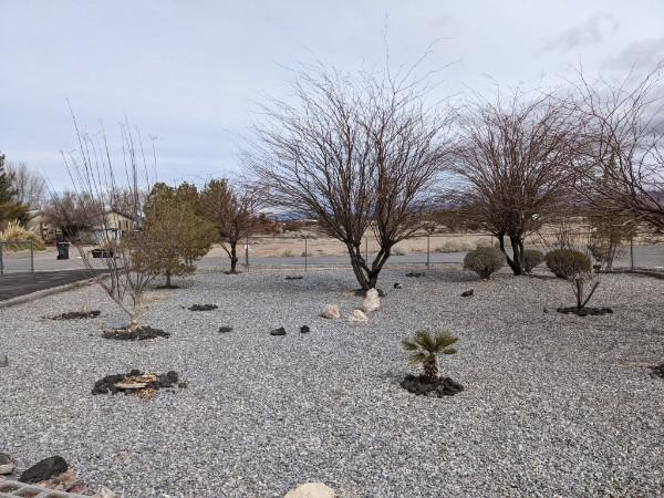 xeriscaping in Pahrump